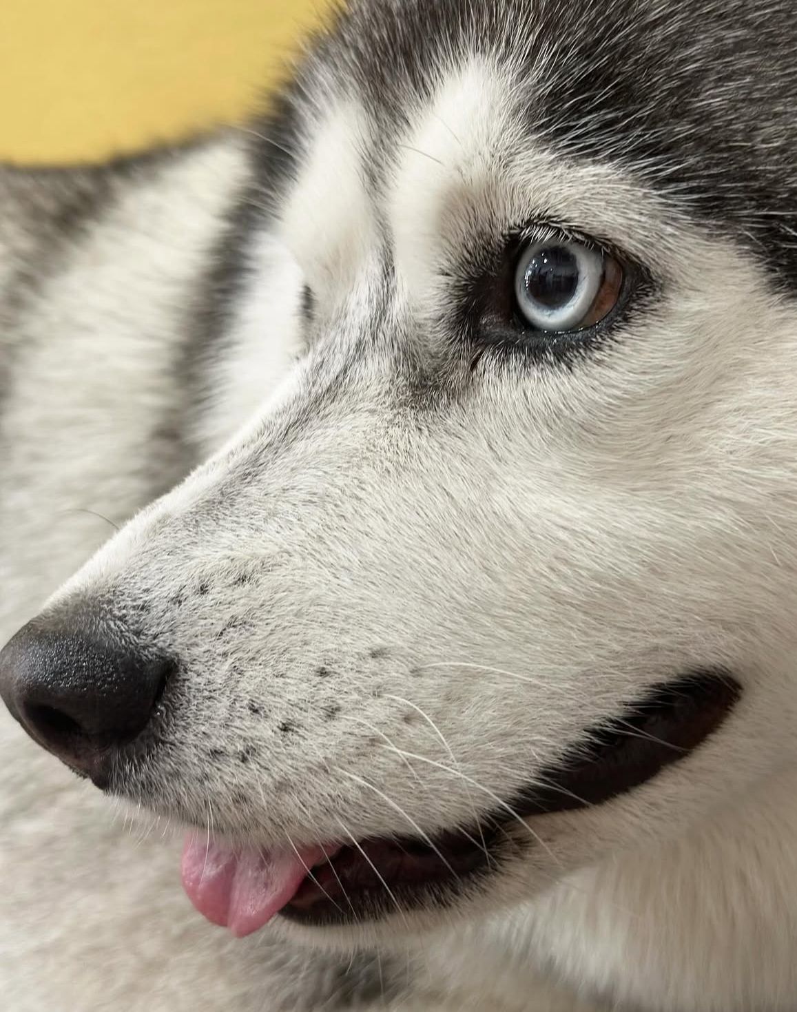 Imagen 7 de la galería